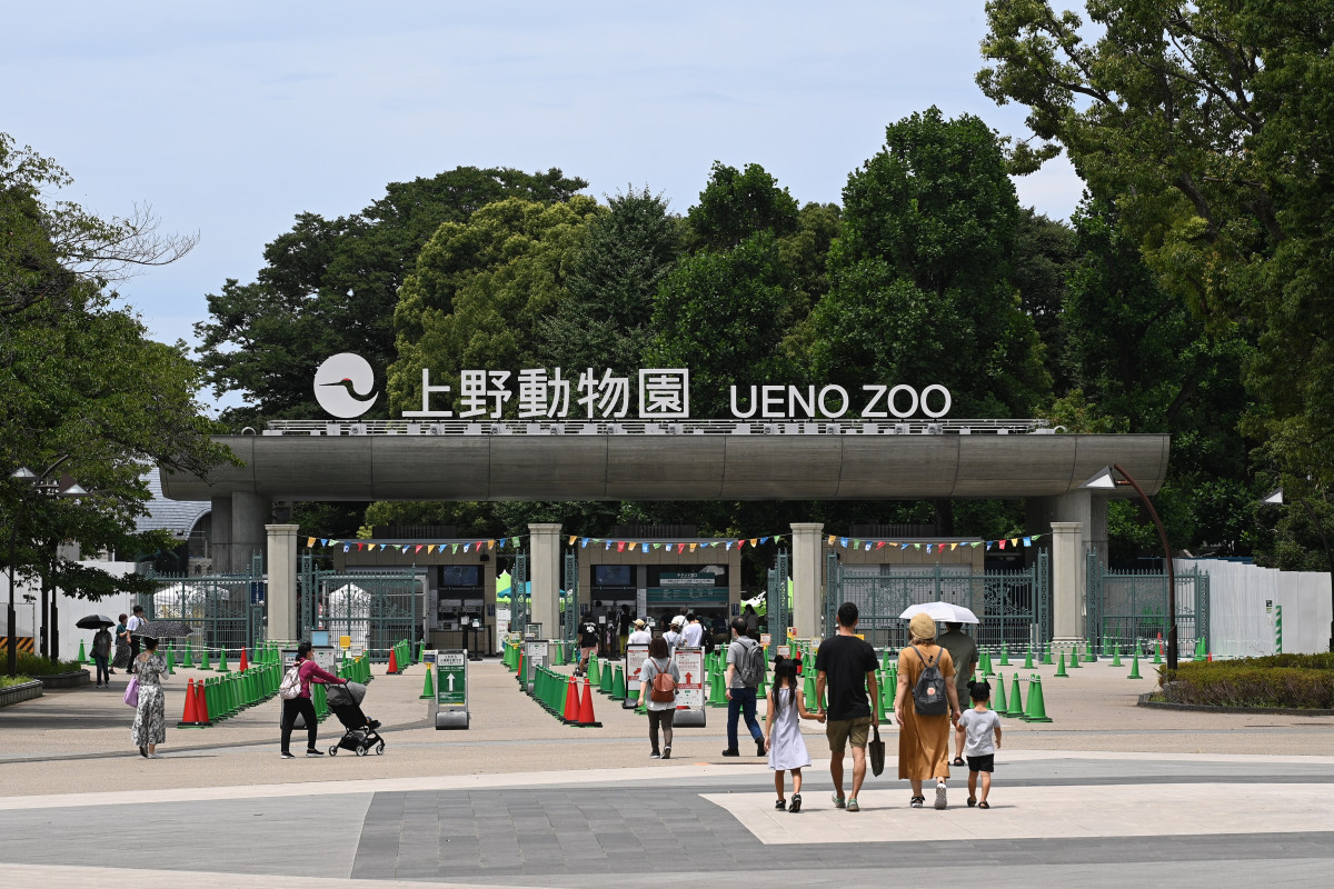 上野動物園｜体験・観光スポット｜台東区公式観光情報サイト